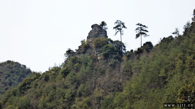 nEO_IMG_DSC00795.jpg