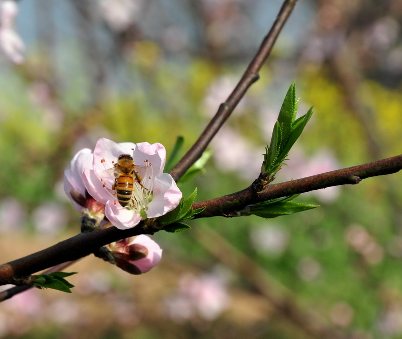 DSC_0143.JPG
