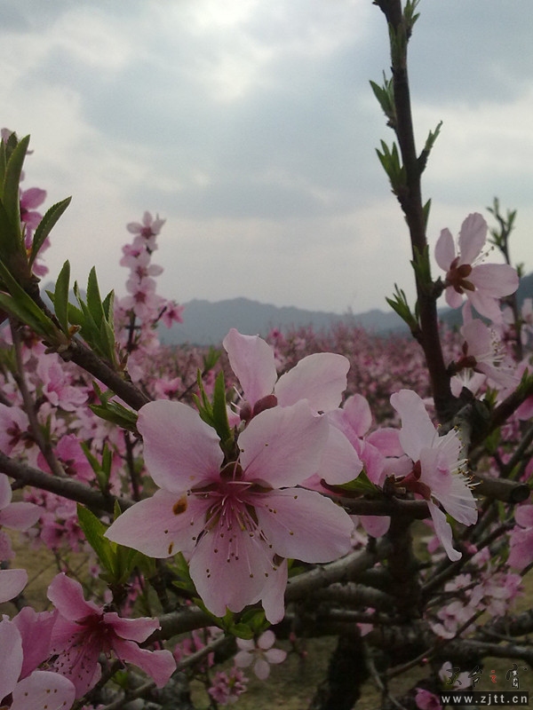 20120402069_副本.jpg