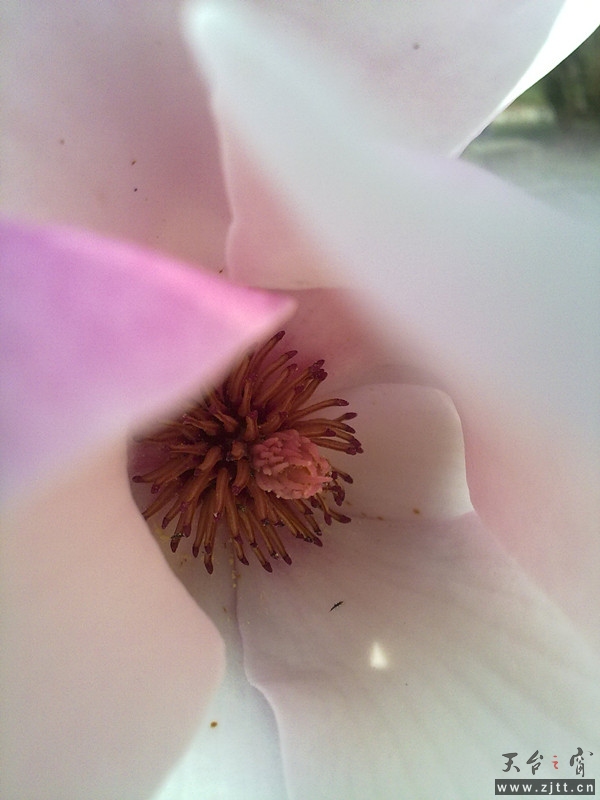 20120402056_副本.jpg