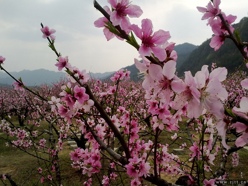 20120402067_副本.jpg