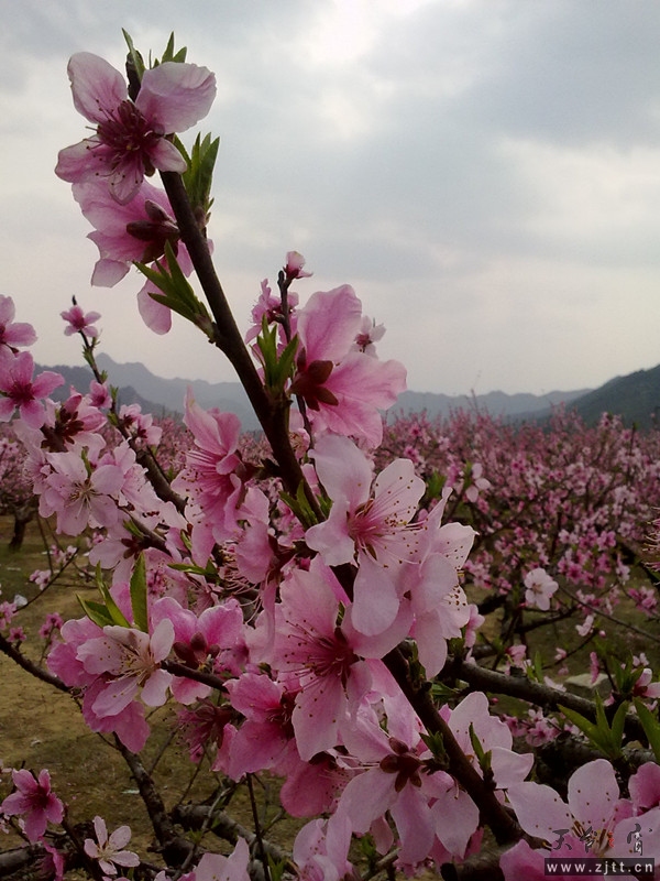 20120402068_副本.jpg