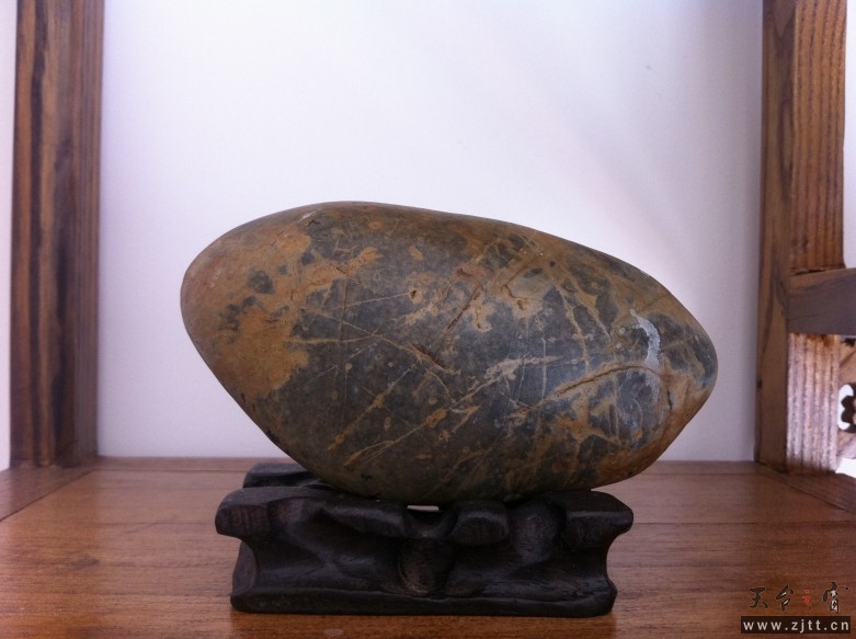 144.jpg