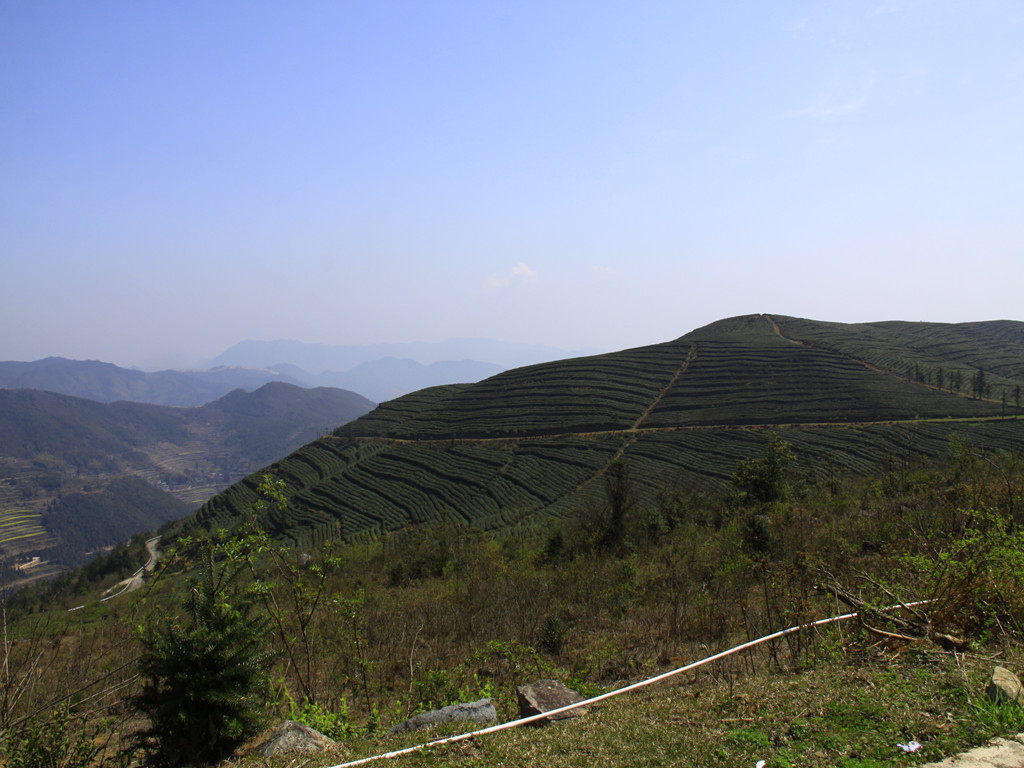 _MG_7992_副本.jpg
