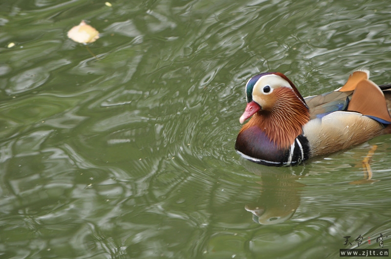 dsc_0032_副本.jpg