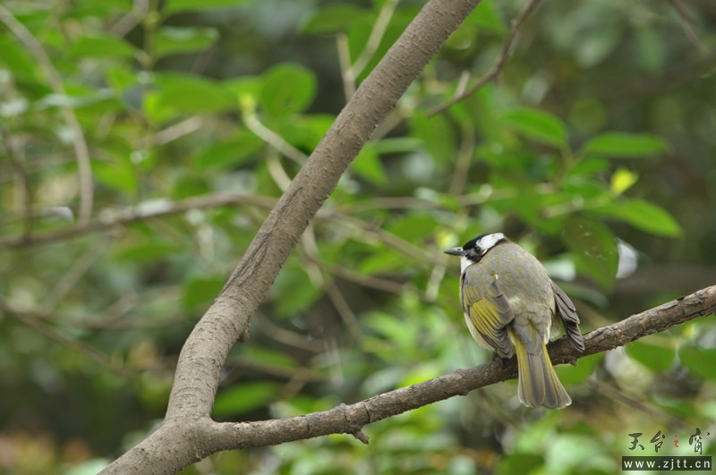 dsc_0132_副本.jpg