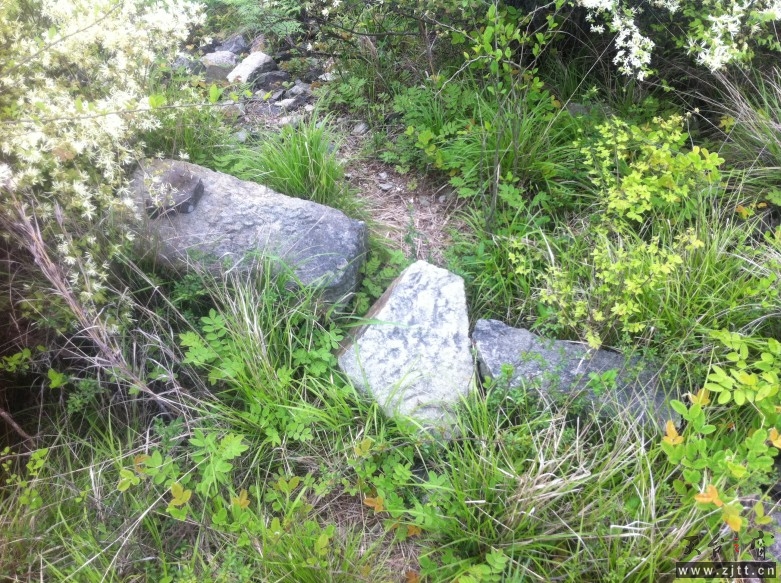 057_conew1.jpg