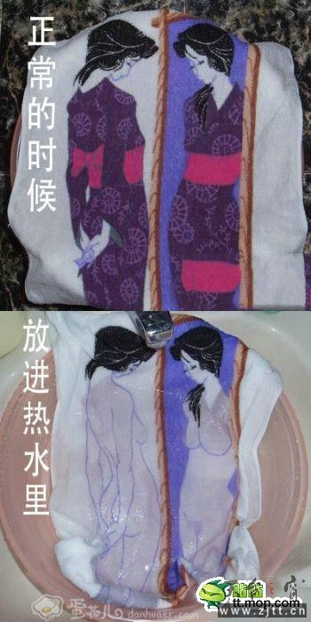 13351405331896278.jpg