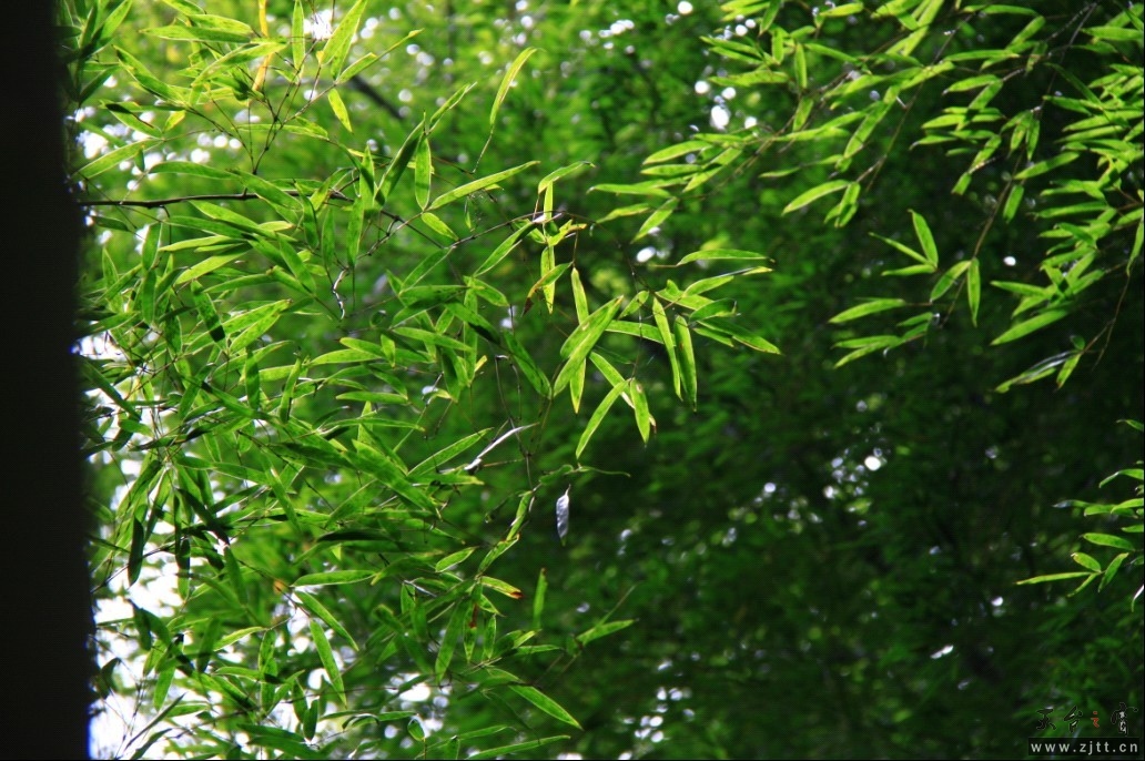 未命名.jpg