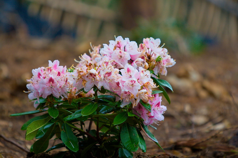 IMG_3632_缩小大小.jpg