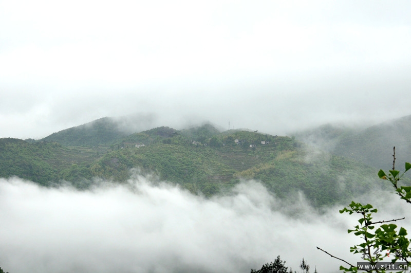 DSC_0007_副本.jpg