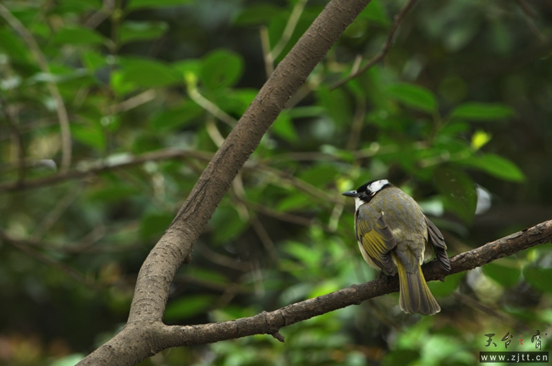 DSC_0132_副本.jpg