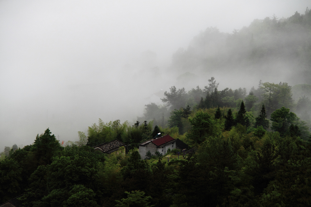 _MG_0027.jpg