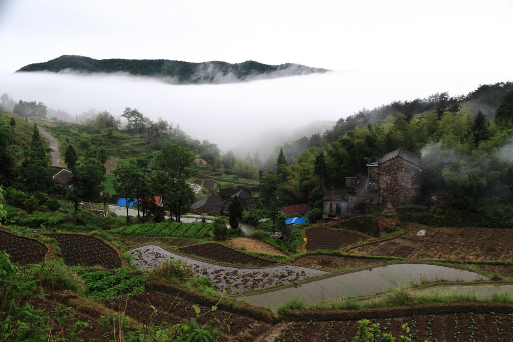 _MG_0020.jpg