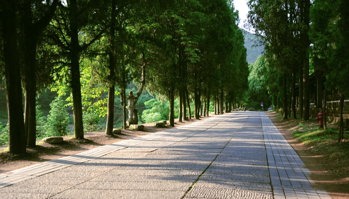 路过国清怀念下