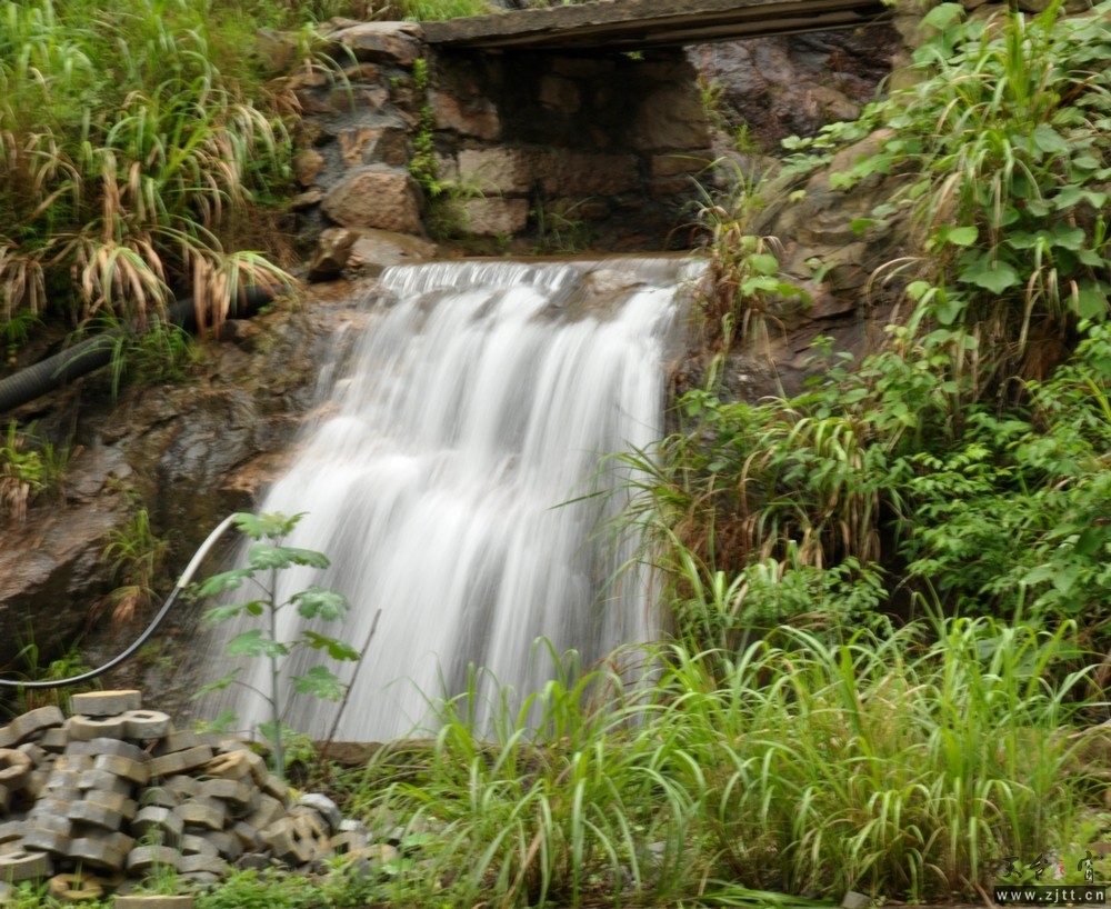 DSC_0464.jpg