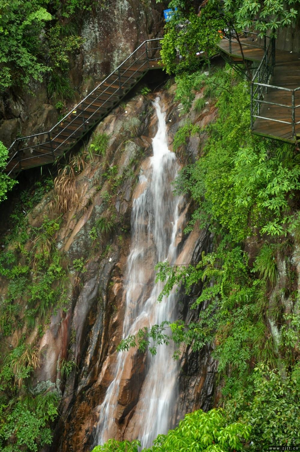 DSC_0208.jpg