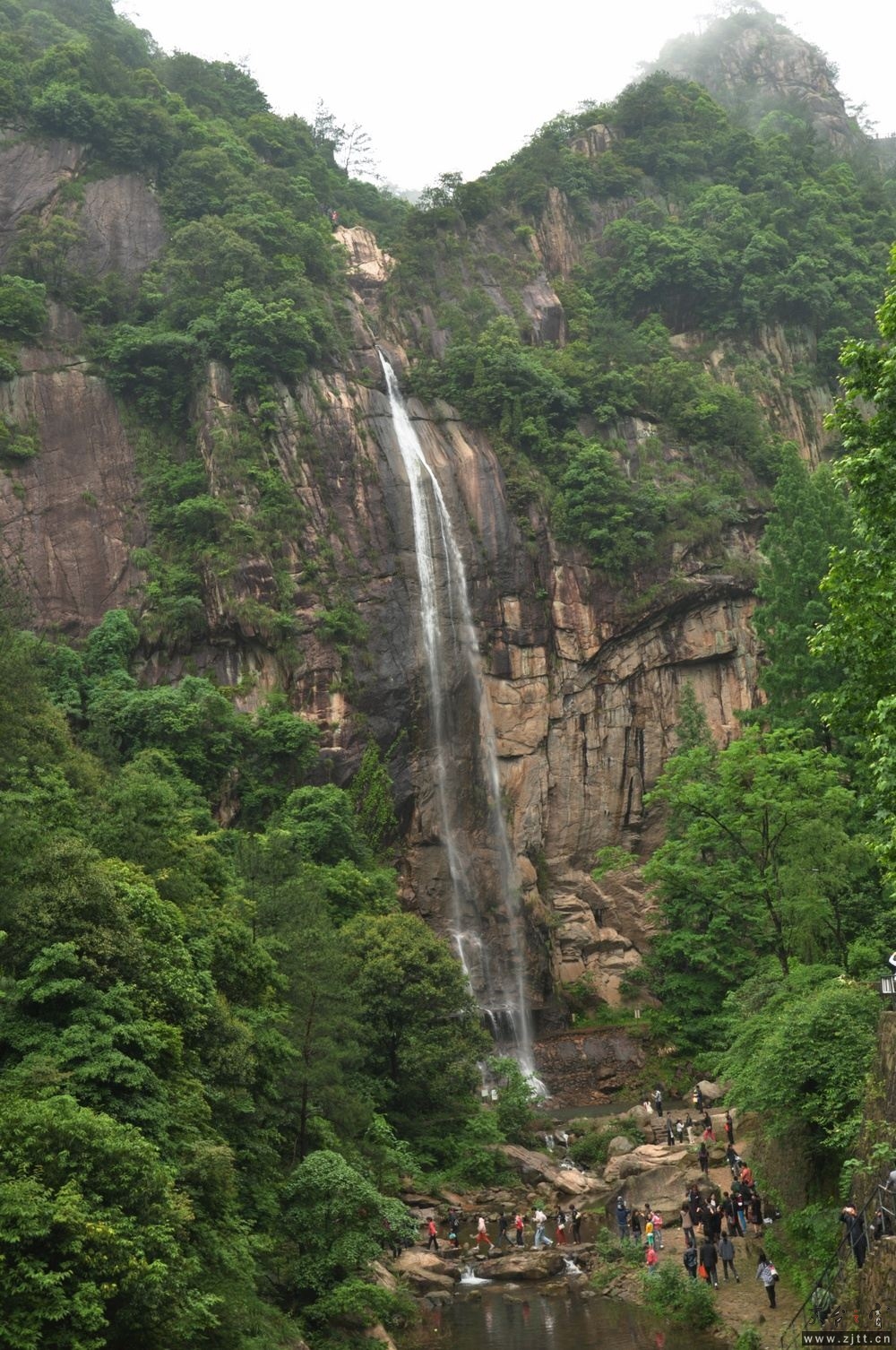 DSC_0442.jpg