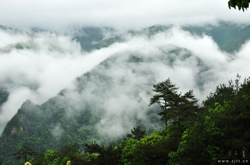 DSC_0019_副本.jpg