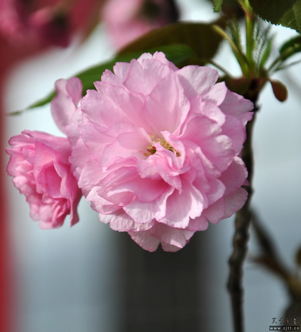 DSC_0175.jpg