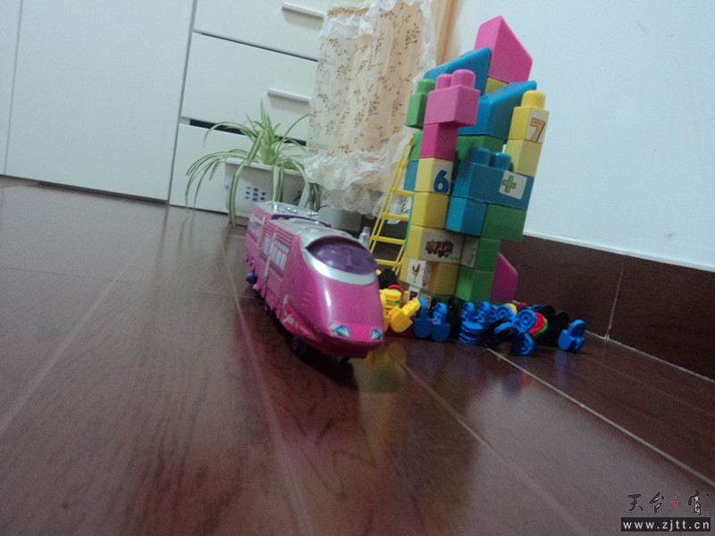 DSC00570_副本.jpg