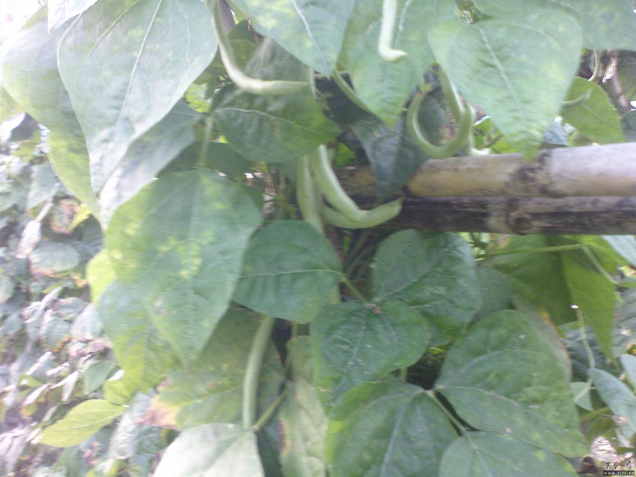 DSC00785.JPG