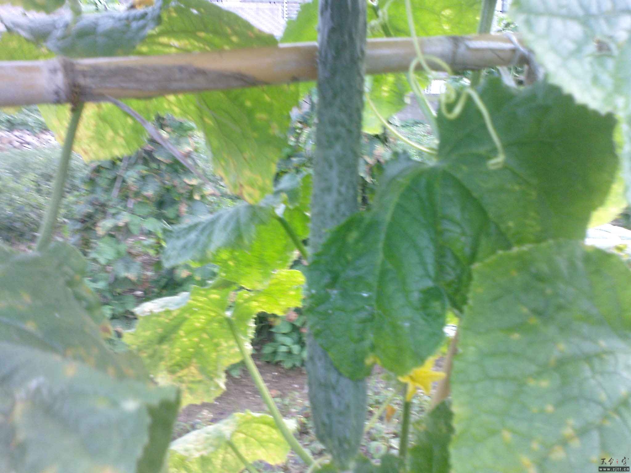 DSC00787.JPG