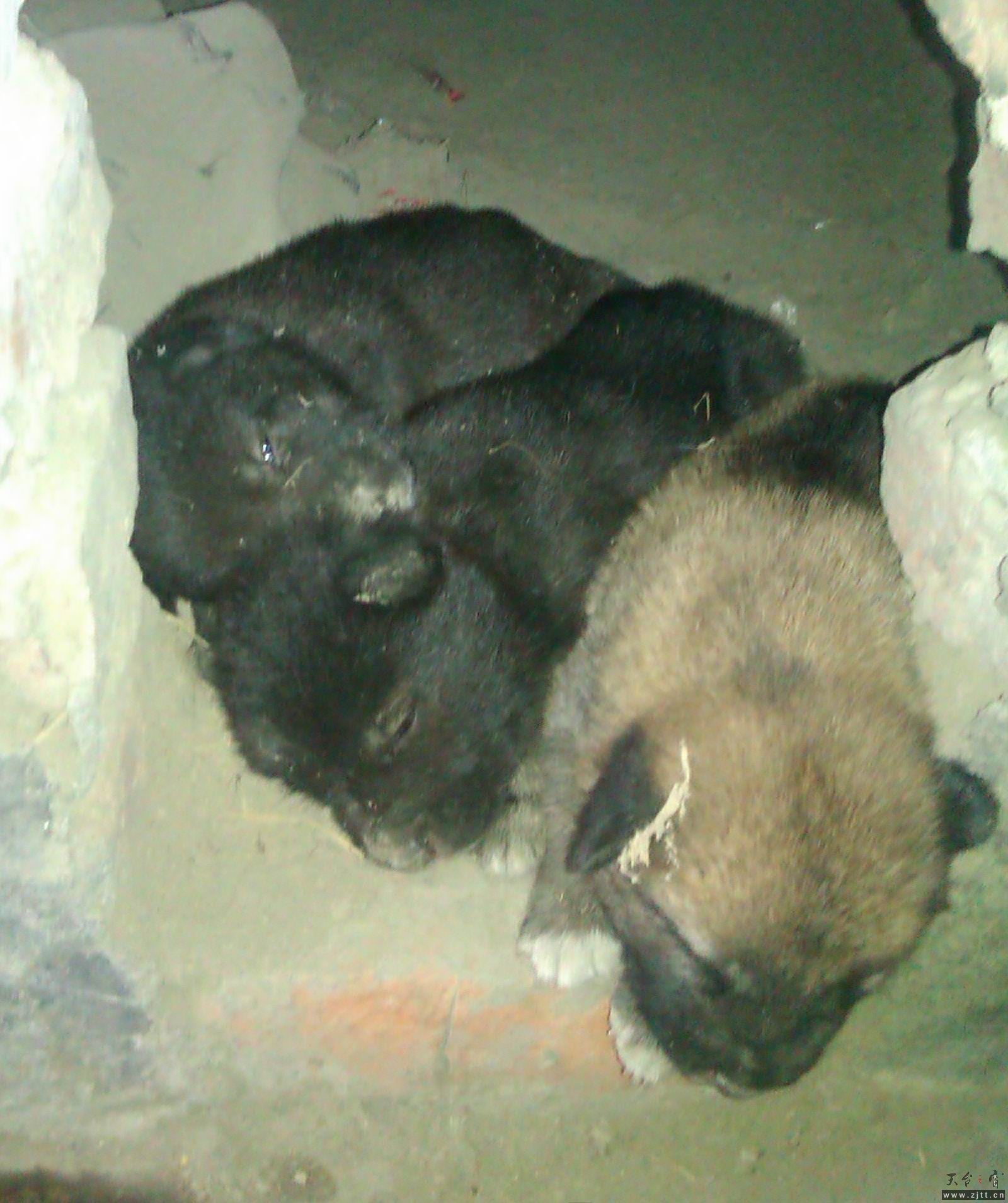 IMAG0480.jpg