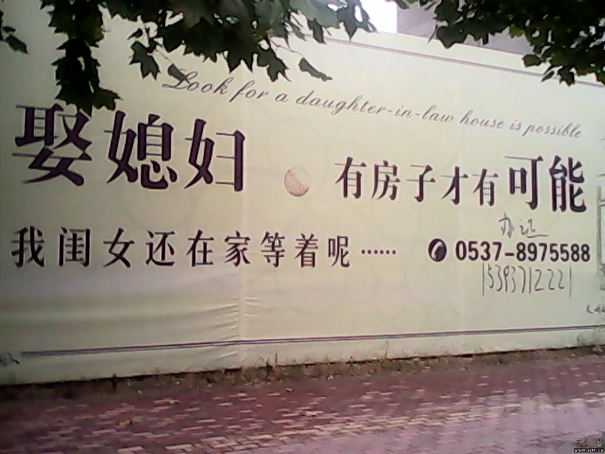 111.jpg