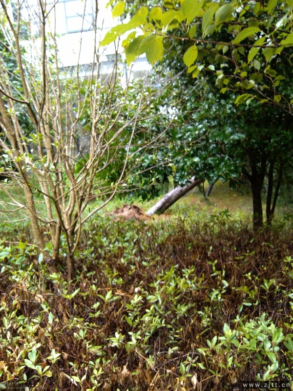 p1sbCALUA07I.jpg