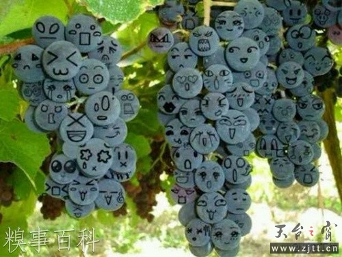 未命名55.jpg