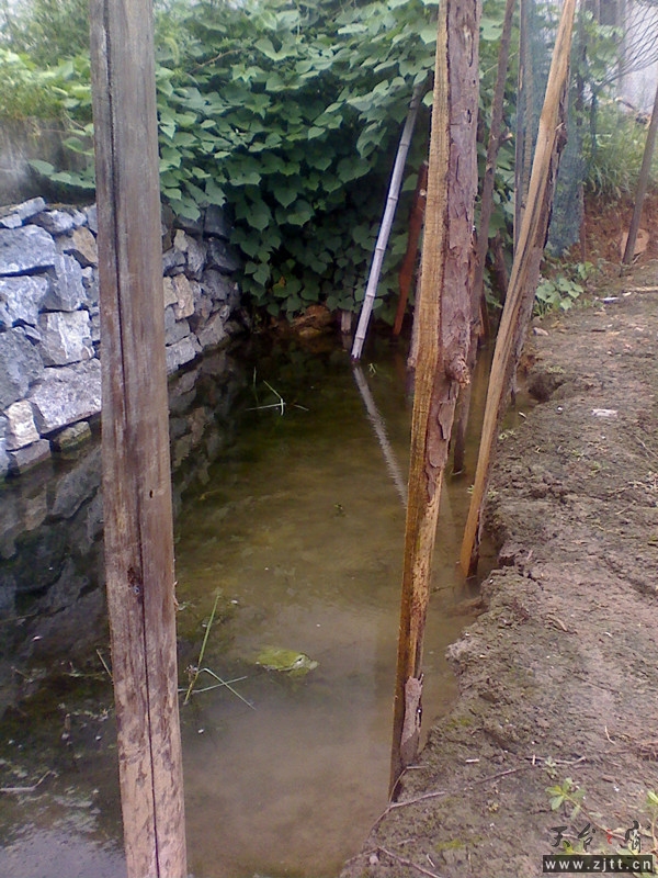 123.jpg