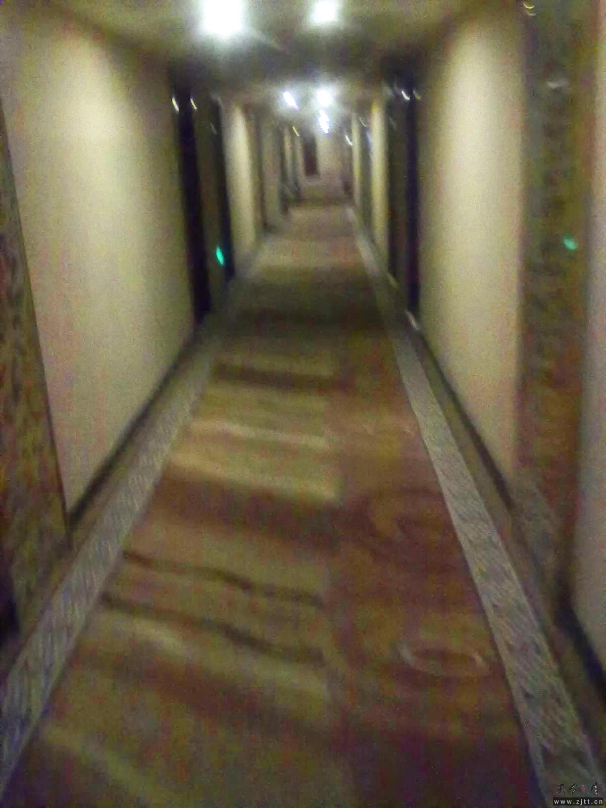 345.jpg