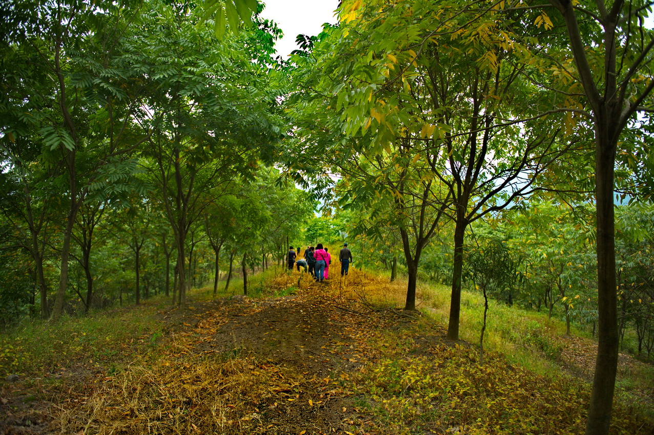 DSC_3122_缩小大小.jpg