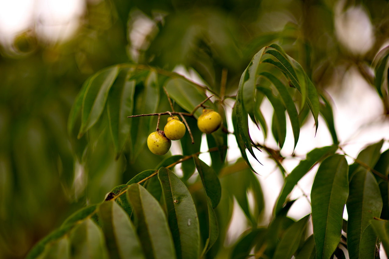 DSC_3043_缩小大小.jpg