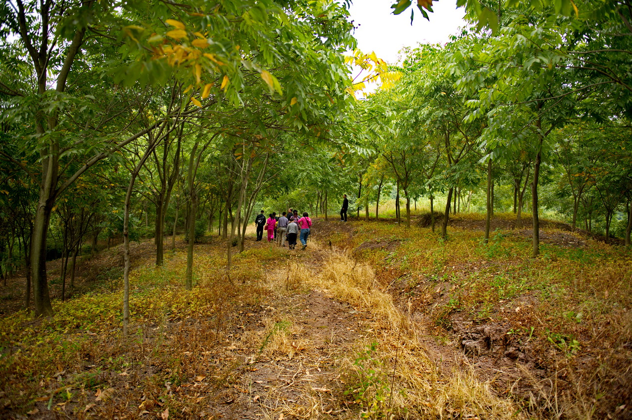 DSC_3049_缩小大小.jpg