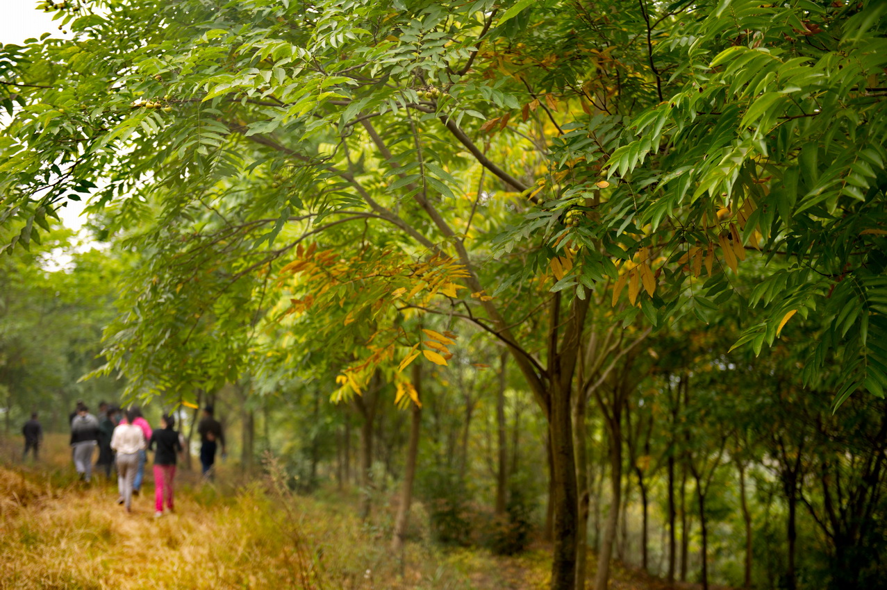 DSC_3117_缩小大小.jpg