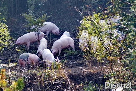 DSC_3697_大小.jpg