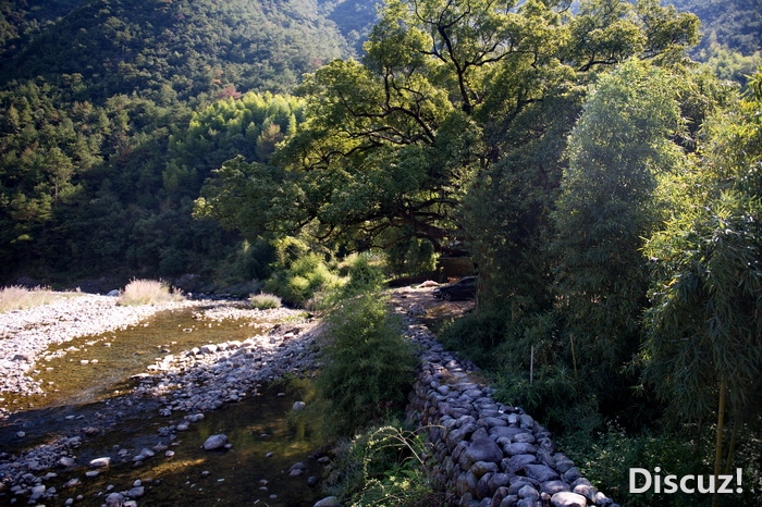 DSC_3185-1.jpg