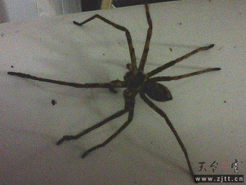 2012-09-11 19.07.49_副本.jpg