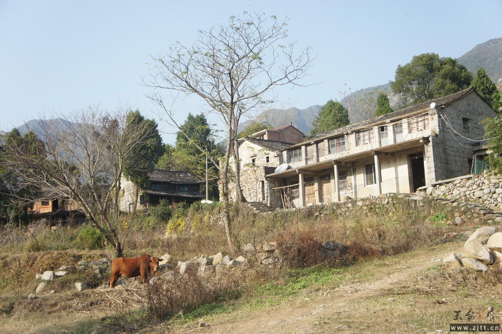 DSC02038_缩小大小.jpg