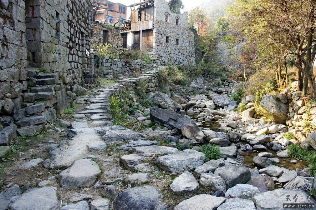 DSC02060_缩小大小.jpg