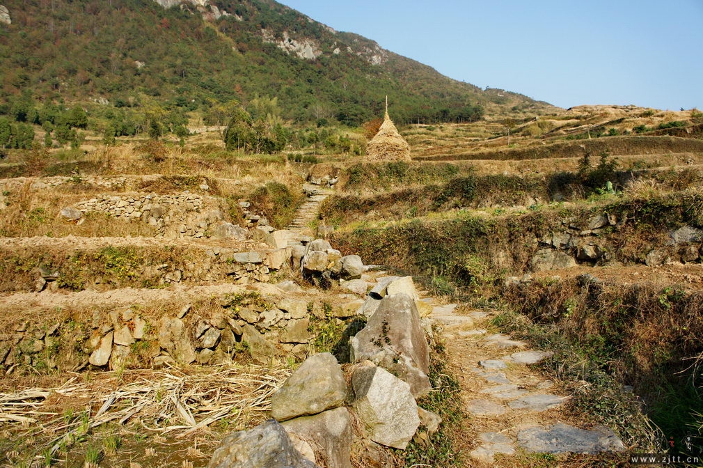DSC02064_缩小大小.jpg