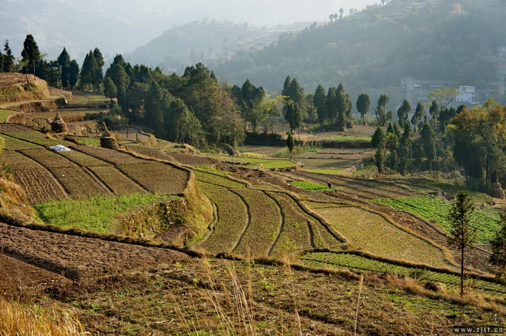 DSC02073_缩小大小.jpg