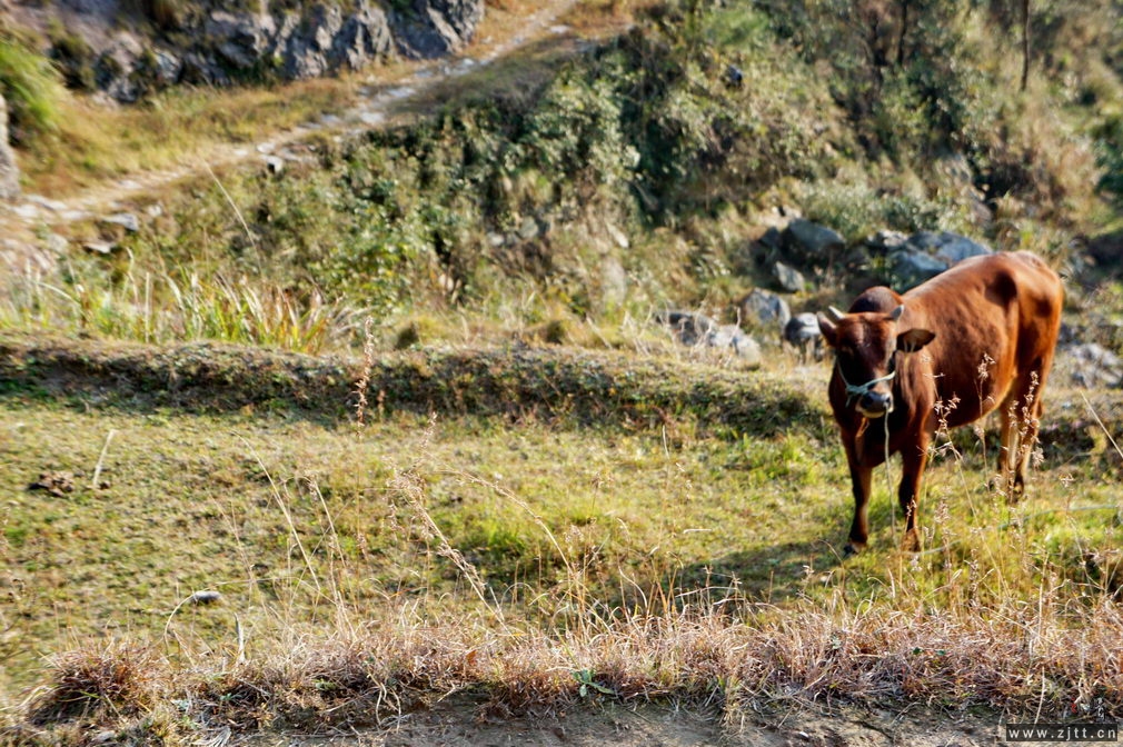 DSC02080_缩小大小.jpg