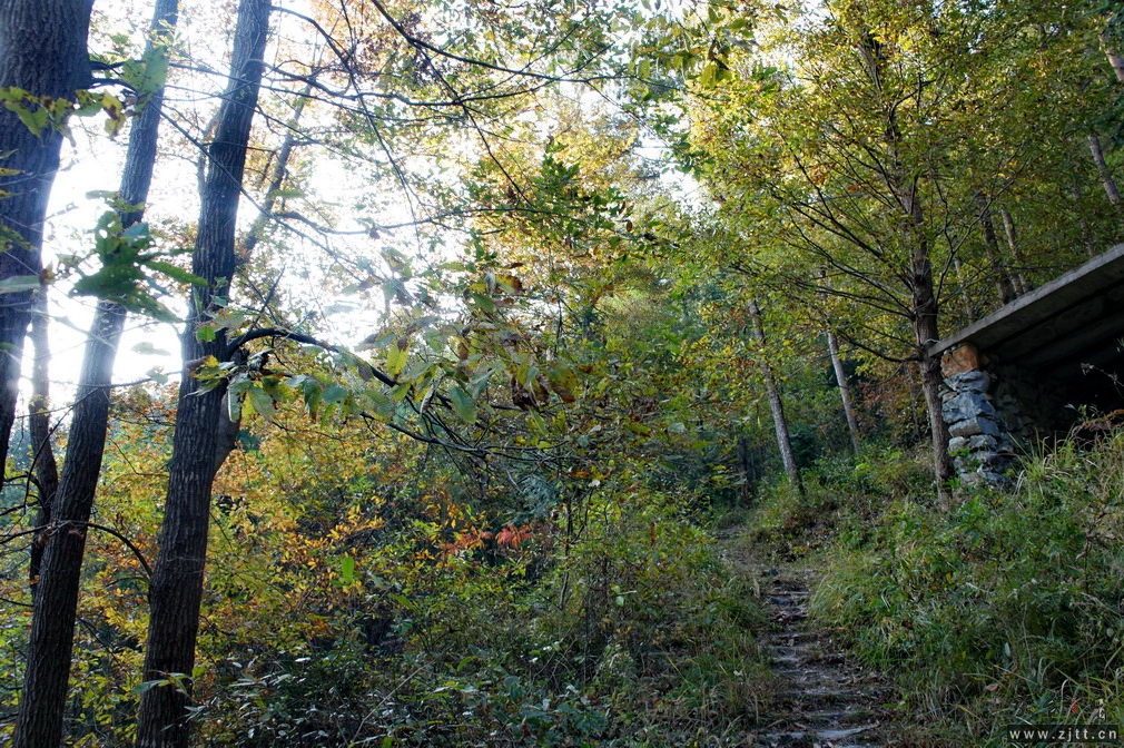 DSC02103_缩小大小.jpg