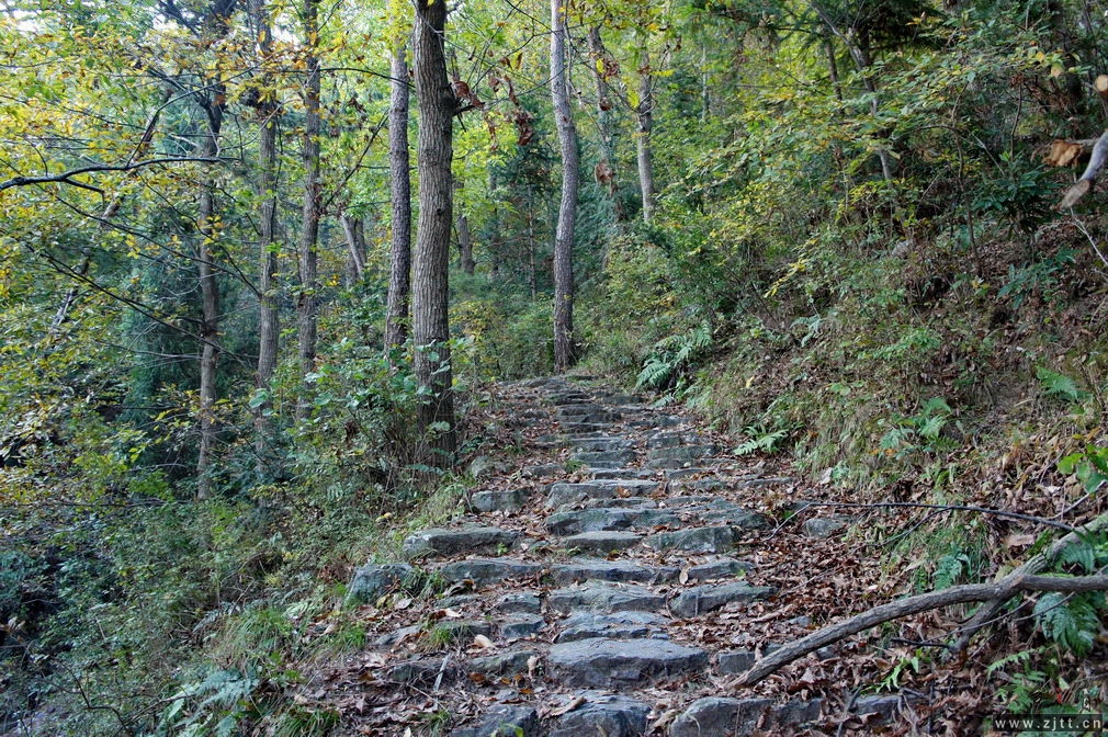 DSC02106_缩小大小.jpg