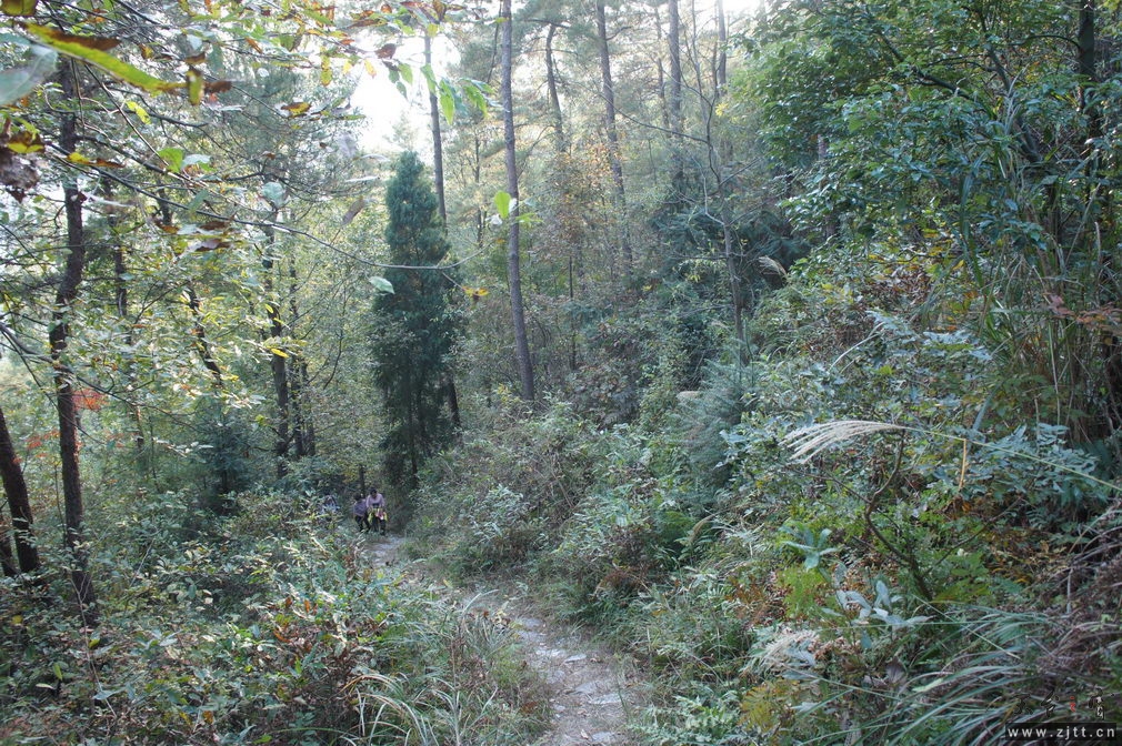 DSC02107_缩小大小.jpg