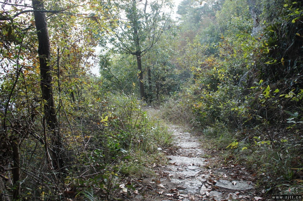 DSC02109_缩小大小.jpg
