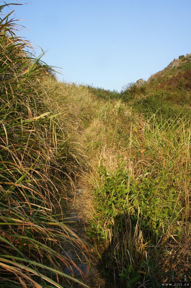DSC02110_缩小大小.jpg